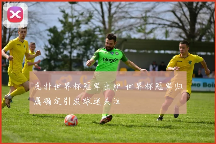 虎扑世界杯冠军出炉 世界杯冠军归属确定引发球迷关注