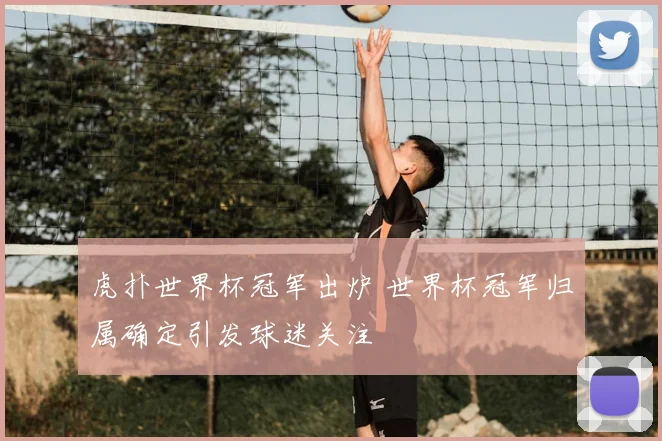 虎扑世界杯冠军出炉 世界杯冠军归属确定引发球迷关注